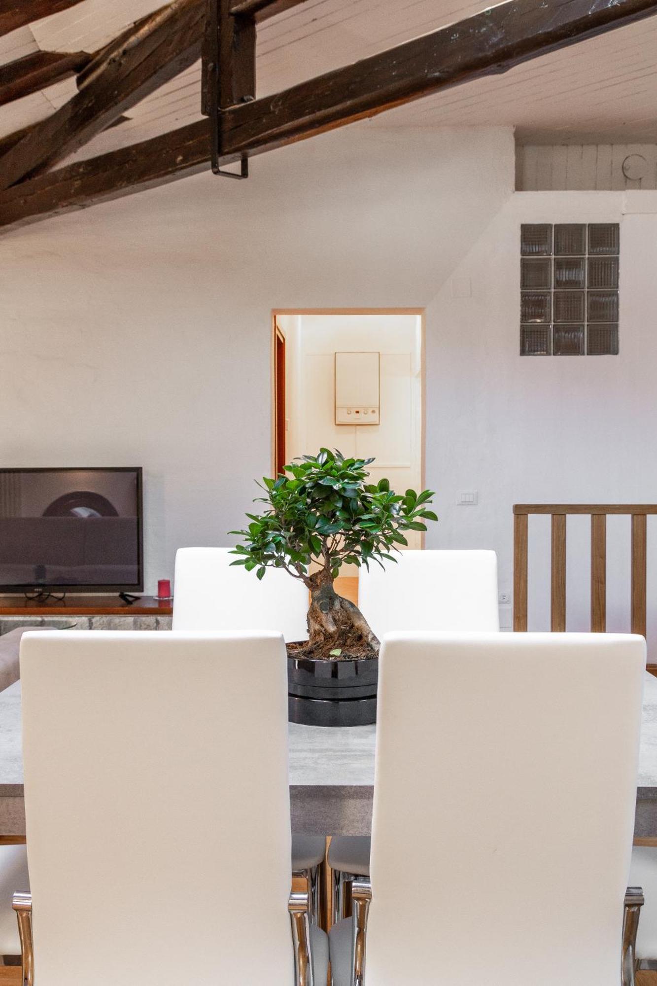Attic Floor Venice Apartment 梅斯特雷 外观 照片